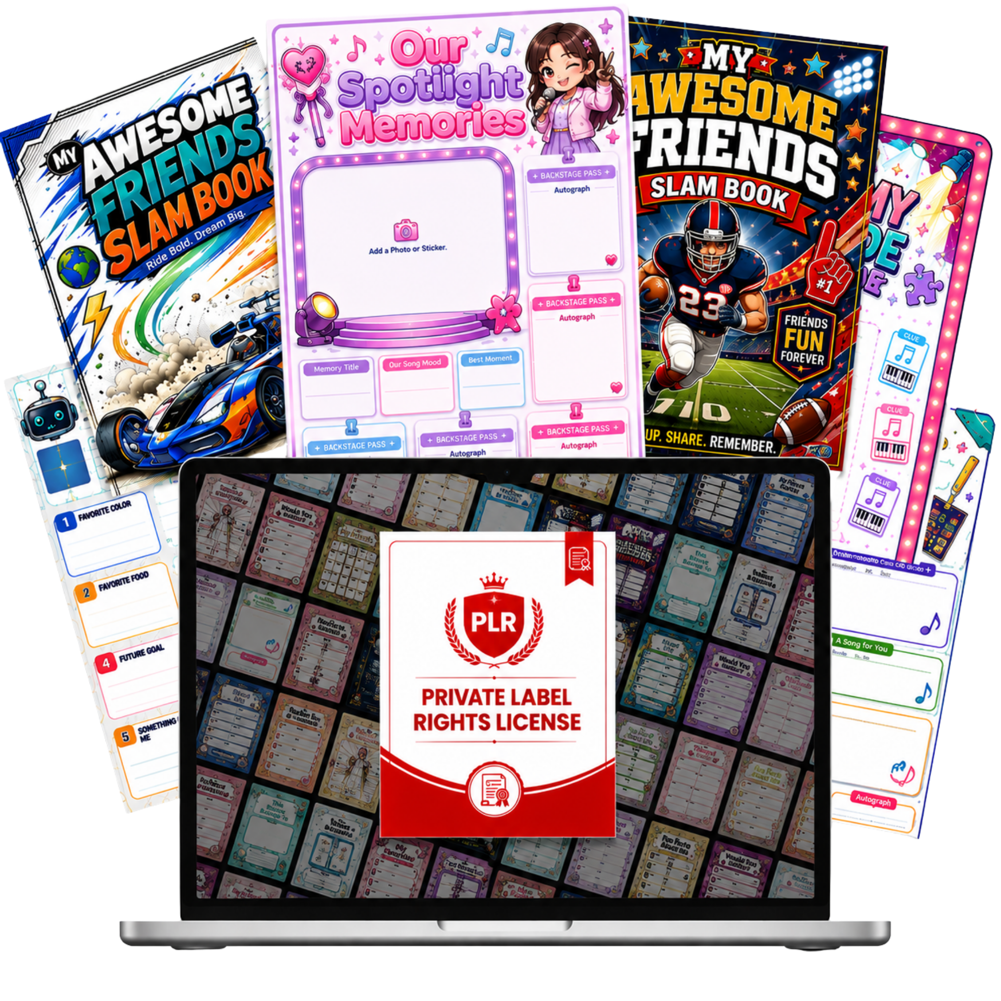 PLR License